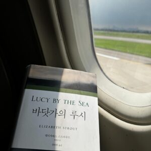 Kim Young-ha Instagram - 비행기 창만 보면 찍고 싶다. 여름의 적란운과 파란 하늘. 좋다. 
#바닷가의루시