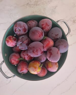Kimberly McCullough Instagram - Plum tree going off today!