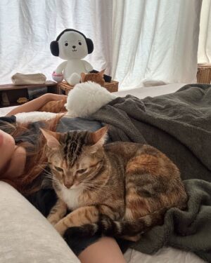 Kira Chan Instagram - 這一個星期的親子照🐱🐶
貓貓們今年越來越痴身🤭
好老實細個完全冇諗過自己會養貓
因為鍾意狗仔熱情啲
但係養咗第一隻貓之後佢就融化咗我🫶🏻
粒子每晚都會過嚟一齊瞓
仲要霸住個手臂🥰
希子就今年開始瞓我右邊枕頭
光子就臨瞓前過嚟張被搓下搓下😂
黐住小新訓🙈
多謝佢哋陪住我每日嘅生活❤️
每日都有幸福既感覺🫂

#小確幸
