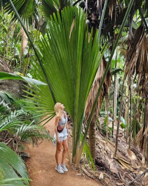 Kira Miró Instagram - Inolvidable #seychelles 💫💝