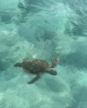 Kirstie Allsopp Instagram - In March 2014, 3 months after my Mum died, I came to stay with a friend on Harbour Island, in the Bahamas. I knew nothing about the place, it was my first big trip with the boys but no Ben, and they were 5 & 7. 
Within 3 days I had made an appointment to see a “real estate agent” 😜 I know the lingo now, and I spent nearly all the money I’d saved from making Locations on a house here. I have never regretted it for a moment, if you’ve ever been lucky another to come to the spot that Tim Peak called “the most beautiful place on earth from space” you will know that the sea is incredible and for someone who loves to swim it is sheer bliss. My children & stepchildren now have an amazing life here and many, many friends. No-one watches my shows or knows anything about my work, I’m just another middle aged Mum. 
People often whinge about fame, and half the time it’s rubbish; many of us would not have what we have without the fame, and though it’s a treat to be anonymous sometimes, that should’t stop me sharing this place with those who bother to follow me on Instagram.