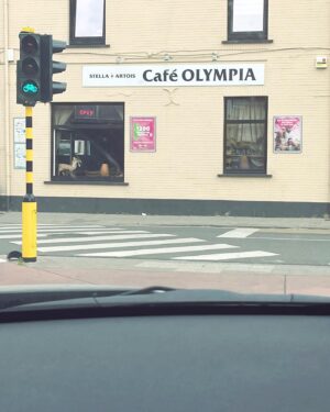 Kody Kim Instagram - Un petit Photo Dump ou quoi les guyzz ? 📸

1. Petite Balade sous le soleil ☀️
2. J'ai fait l'Olympia en Belgique (je sais pas pq ils ont écrit "café" devant)
3. Mon nouvel ami (il sent fort le WC) 🚽
4. Le classique fête des pères ❤️
5. Chaises à vendre dans le quartier... Est ce que je me suis laissé tenter ?
6. Arrivée au Gabon, au niveau de l'équateur ! Ce qui signifie que Rome est à 5000 km 🇬🇦
7. Petit arrêt Junk Food pour manger un coupé-coupé 🌭

#photodump #photodumping #gabon
