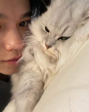 Kosuke Suzuki Instagram - 最近のあれこれ、髪の毛も切ったよ！