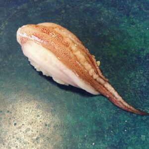 Kouta Okada Instagram - 生のイカゲソ
歯応えが強いので隠し包丁を結構入れないと咀嚼回数がシャリと合わない
藻ソルトとレモンで食べた
セサミオイルと醤油でもいいな
#イカ好きと繋がりたいという要求ばかりが強くなって孤独にさいなまれた