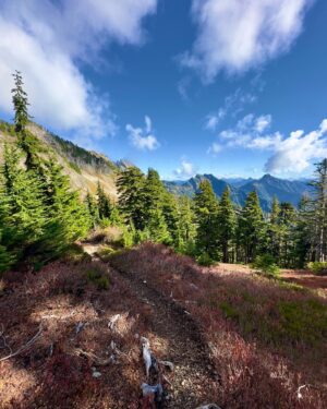Kraig Adams Instagram - Overnight alone in the Three Fingers Lookout. Great bike and hike up to  overnight in the lookout. Parked and biked up 10 miles and hid my mountain bike near the trailhead. Didn’t see a single person and slept all alone in the hut. Little dusting of snow at the top. No spikes or equipment needed to ascend. Straightforward trail up to the ladders. No bugs, no wasps, no rain, no ice. Fall colors are just starting to change mid Oct.

Left the lookout at 7am after sunrise. Was a cold and windy night so happy I had the shelter instead of a tent. Super windy on the initial descent but quickly made my way back down to the trailhead and hidden bike. Riding the remaining 10 miles down was a nice time and saved so much time. Great hike.