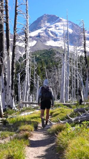 Kraig Adams Instagram - Hike 40 miles on the Timberline Trail Loop around Mt Hood in Oregon.