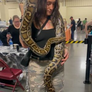 Kristen Stadtlander Instagram - Repticon is my Disney