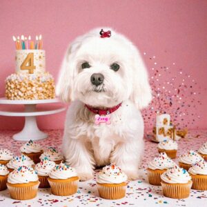 Kunal Jaisingh Instagram - Zoey Jaisingh, now marking her 4th year, has grown from a mischievous puppy into a poised and beautiful lady dog. Her puppyish curiosity has evolved into a calm and confident demeanor, making her a delightful presence in her family's life. Zoey's loyalty and affection have deepened over the years, forging an unbreakable bond with her human companions. As she celebrates her special day, Zoey is surrounded by love, treats, and endless belly rubs, cherishing the journey from puppyhood to adulthood with joy and contentment. 

And as you can see she's all dolled up for her day today, she is determined to finish all these cupcakes in front of her, this big lady has got a massive stamina; she can even finish her entire birthday cake all alone. If her mommy and daddy wants it she can share the cake with them, but, if you all want a piece of her 🍰, you better ask permission, or else she'll *woof* you all!