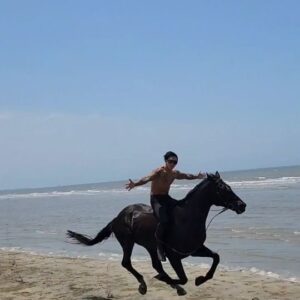 Kwon Tae-ho Instagram - 태양이랑 알말 라이딩
camera by @choimyeongbeen
horse and camera by @kims_horses
