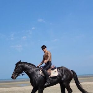 Kwon Tae-ho Instagram - 외승
@kims_horses 
@kims.horse