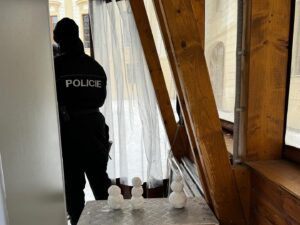 Ladislav Zibura Instagram - Byli jsme se dneska proklouzat Prahou a svět se zdál docela v pořádku. Policisté na hradě staví sněhuláky, děti jezdí na bobech a všude je díky sněhu neobvyklé ticho.

Tedy, kromě kaváren a stánků se svařákem. Kolem nich to je jako před včelím úlem... 

❤️❄️🙋‍♂️