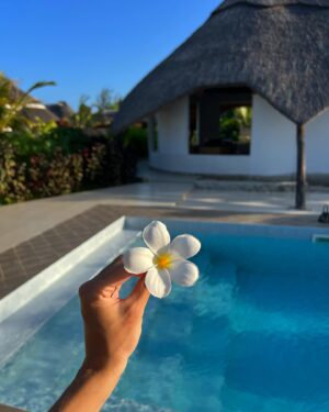 Laura Chrebetová Instagram - Ešte nejaký čas vám budú vyskakovať fotky zo Zanzibaru a z @bungalowzanzibar ✨🌴🤰🏼 

#tehu#throwback#photography#vacay