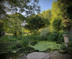 Laurence Llewelyn-Bowen Instagram - The thing about my garden is you’ve gotta like GREEN…………