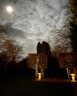 Laurence Llewelyn-Bowen Instagram - Wonderfully moonlit dog walk around my Betwixtmas garden