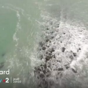 Laurent Maistret Instagram - 7eme participation au Fort Boyard 🪳🕷️🐍🔥
Ce Jeudi 18 Juillet à 21h10 sur France 2