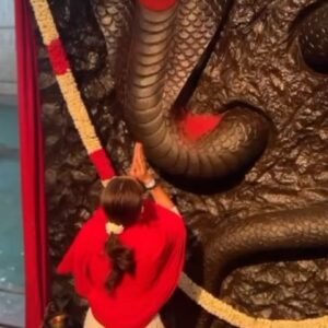 Lavina Tandon Instagram - “There is an innate longing within human beings to go beyond all limitations. Naga is a living deity created as an access point to perceive life on a larger scale.” - Sadhguru

On the auspicious day of Naga Panchami—a festival that celebrates the sacred serpent—may the grace of Naga bestow well-being upon all of us.

#NagaPanchami #Naga #SadhguruSannidhiBengaluru #SadhguruSannidhi #Sadhguru #celebration #festival #snake #serpent #grace #ishayogacenter #devotion #adiyogi