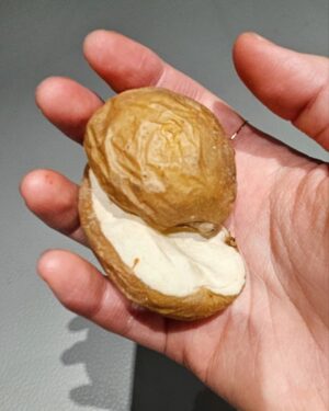 Lee Sung-min Instagram - 연습끝! 구황작물Man🌽🥔