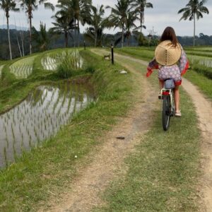 Lena Guillou Instagram - Vélo dans les rizières de Jatiluwih ( patrimoine de l’UNESCO )
🌾🚴🏼‍♀️