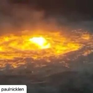 Lena Headey Instagram - Oh and the ocean caught fire. .. super fkin normal … How is that possible !!!! I KNOW HOW .. I get how it happened. .. BUT WHAT IN THE FUCKING EARTH DESTRUCTIVE STUPIDITY IS GOING ON … She will not roll over…