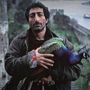 Levent Özdilek Instagram - Ne yazsam eksik kalacak biliyorum, tam 51 yıl önce Konservatuara beraber adım attığım, hiç birbirimizi kırmadığımız, öğrenci evimizi paylaştığımız, zor günleri, aşkları,sahneleri paylaştığım, eşsiz benzersiz aktör…nurlarda uyu kardeşim…

#ahmetuğurlu