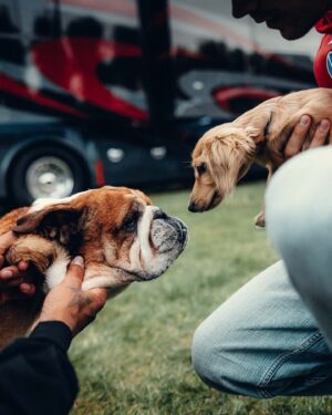 Lewis Hamilton Instagram - Dog dads