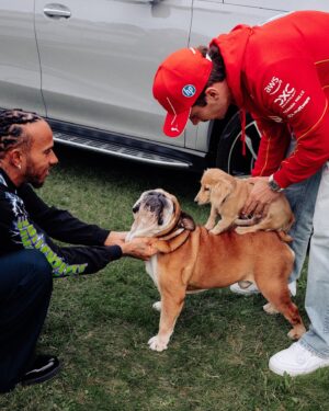 Lewis Hamilton Instagram - Dog dads