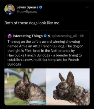 Lewis Spears Instagram - Dogmaxxing