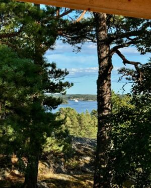 Lisa Nilsson Instagram - Måste utbringa en skål - i motljus - för att sista dagen före uppbrott är en så givande och lycksalig dag! Att avloppet funkar ingen, att avloppsanläggaren tog sig tid att komma hela vägen ut hit ifrån Strängnäs på en söndag! Att vädret var så fint att det gick att bjuda honom på lunch vid fina utsikten efter den slammiga mödan, att en dotter och en kusin fick snorkla sig runt vikarna med min älskade bror 😍 Att storfamiljen har så många gulliga småbarn just nu, att få kaffe med öns tappraste trebarnsmamma på en brygga, att få kasta pinne åt en överentusiastisk hund, att vinden mojnade och molnen skingrades, att glittret fortfarande ligger över fjärden efter kl 18, att äldstan ringde och lät glad, att en bolognaise står på kokning, att denna sommar gett så mycket gemenskap och vila, att Margauriten fortfarande blommar, att mitt sovrum är så underbart och svalt, att båttrafiken aldrig blir tråkig, att jag hade en skvätt Sancerre kvar i kylen, att Joni Mitchell fortfarande är intressant att lyssna på efter 35 år med samma skiva i en gammal bärbar cd-spelare från förr, att de sista tre kvarvarande i min närmsta familj snart knatar upp för min långa backe, och att jag och mina döttrar ska få fira min 54 årsdag med min pappa och styvmor på tisdag! 
Livet är i vändning och sommarsluts-vibb på fler sätt än att en årstid går mot skolstart.. Varje minut, varje enastående minut är vår så länge vi lever. Och jag har goda skäl att gråta oftare och mer lättillgängligt nuförtiden. Precis som att jag oftare tycker om människor numera. Med varje årsring ökar utrymmet för träffytorna utifrån och in. 
Precis som att det med varje extra kilo finns mer att klappa på och (!) att leva av - sen på slutet när inte ens aptiten kan lura oss ifrån döden längre. 
Tack ❤️🙏🏼🥂🍀