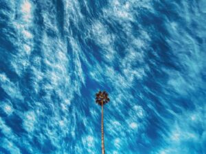 Logan Marshall-Green Instagram - Isolate LA