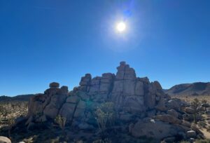 Logan Miller Instagram - Midnight hikes, stoned cashiers and a group o goons on the end of the year Joshua Tree trippp.
Photo cred: @gustavotastudillo @robyattal & Emma Kanter