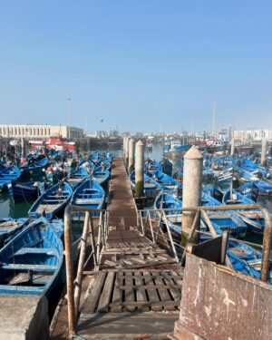Lola Le Lann Instagram - ESSAOUIRA 💙🩵🤍

1. Villa Beldi
2. Taxi Diabat
3. 🐟 
4. Baby Msemmen  
5. Joutia 
6. Mon 1e tapis
7. 🐦 en émeute