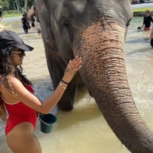 Lopamudra Raut Instagram - Found my dumbo 🐘✨ he Said “Hi !” #elephant #sanctuary #happykid