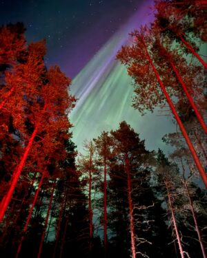 Loqiemean Instagram - Карелия