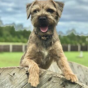 Lorraine Kelly Instagram - Angus says he’s quietly confident but in derby games you just never know. He’s excited and hoping for a cracking ninety minutes @dundeeunitedfc  #dundeederby #football #derby #tannadice #dundee