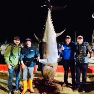 Louis-François Marcotte Instagram - Thon bluefin de la Gaspésie avec @lepagejimmy et sa gang... toute une nuit de pêche sportive, un record cette année 810 lbs!! Pêche durable et ecoresponsable, permis très stricts... Gardons au Qc nos produits d’exception!! @_lacage