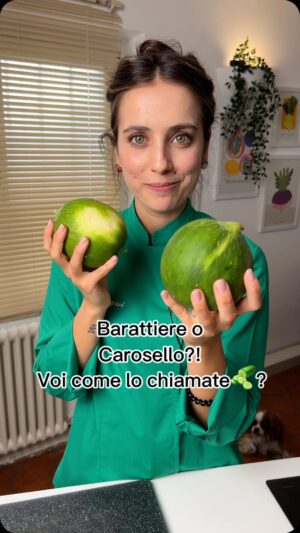 Ludovica Gargari Instagram - Barattiere o Carosello?! Voi come lo chiamate ??
è considerato una verdura, anche se in realtà si tratta di un frutto 🍈 Appartiene infatti alla stessa specie del melone e del cetriolo 🥒 anche se rispetto a quest’ultimo risulta essere più dolce e più digeribile.

1 barattiere
1 pomodoro cuore di bue 
50g parmigiano
50g pinoli
qb sale
qb olio evo 

pela il carosello e taglialo a fette sottili
taglia nello stesso modo il pomodoro
stendili su una placca da forno e condisci con olio sale pepe parmigiano e pinoli
cuoci in forno a 190 per 15 min 
impiatta 

🇬🇧 1 cucumber called carosello
1 heart tomato
50g Parmesan cheese
50g pine nuts
To taste salt
Extra virgin olive oil to taste
Peel the carrousel and cut it into thin slices
Cut the tomato the same way
Spread them on a baking sheet and season with oil salt pepper parmesan and pine nuts
Bake in the oven at 190 for 15 min
Assage

#ricetteveloci #ricettefacili #veggie #verdure #ricettedistagione #ricetteestive #healthyfood #italianrecipes #italiansummer #italy