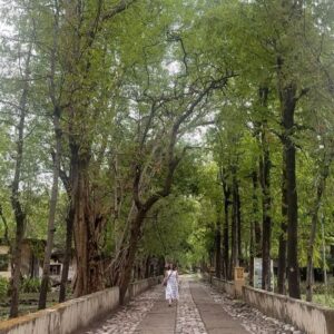 Maanvi Gagroo Instagram - Beatles mania but make it spiritual 😇🕉️