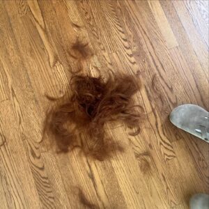 Madelaine Petsch Instagram - oops chopped my hair off