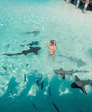 Madi Monroe Instagram - happy world ocean day 🌊✨🪼🩵🦀 @atlantisbahamas