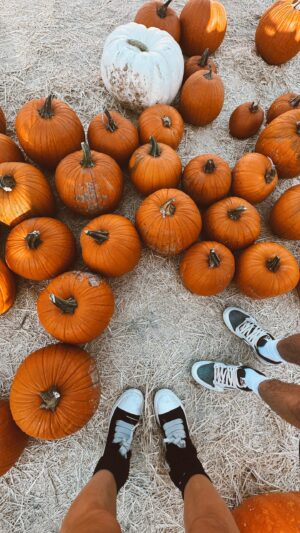 Madi Monroe Instagram - hello november 🎃