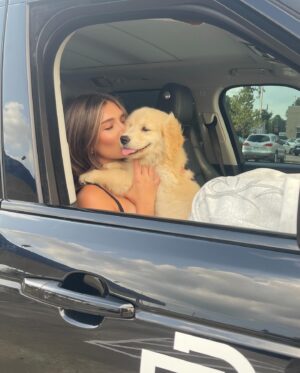 Madison Lewis Instagram - puppy lovin 🧸🧺

#justrememberyourebeautiful