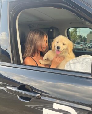 Madison Lewis Instagram - puppy lovin 🧸🧺

#justrememberyourebeautiful