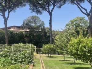 Maggie Beer Instagram - What a visit to the @amacademyrome where the indefatigable Alice Waters of Chez Panisse fame has developed @rsfp_kitchen. 
Beautifully simple food is made for every fellow of the academy and their families three times a day driven by the garden and Alice’s ethos. 
Photos of the garden's beautiful vegetables for lunch and a photo of us with head chef Fausto and his Australian wife Samantha such a privilege to visit. 

#rome #makeitamaggiemoment #maggiebeer #italy #mediterraneandiet