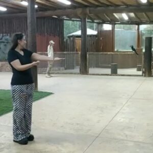 Mai Kassab Instagram - يوم من أحلي الأيام شكرا جدا دكتور سيف وأخويا الصديق الغالي سعيد الجناحي علي كل حاجه حلوه وتسهيل أموري في الحصول علي الإقامه الذهبيه في دوله الإمارات الحبيبه ❤️🌹 @sb_belhasa @fame.park @aljanahi