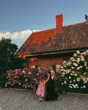 Maja Bohosiewicz Instagram - 🧺 jak te hortensje nas tutaj fascynują! 💗 to takie zdjęcie do rodzinnego albumu i wspominek. To lato w Polsce dopieszcza nas najczulej. 
Winogrona prosto z krzaka, pierogi z jagodami, wspólny spływ kajakami w czystej rzecze, ogniska, gra w kalambury i te hortensje … jakie one są piękne!!!! #mazury