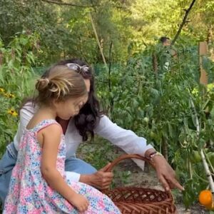 Małgorzata Pieczyńska Instagram - Zajmowanie się ogrodem to wdzięczne zajęcie👍😜 Z malusieńkich nasionek wyrastają wielkie kwiaty🌷🌺dorodne pomidory🍅 Moja wnuczka Zosia, w ogródku u Pradziadka, pierwszy raz w życiu zrywa pomidory z krzaka, jest zachwycona nie mniej niż ja❤️❤️❤️

#rodzinnewakacje #rodzinnyweekend #ogródwarzywny #ogrodoweinspiracje #mazowieckawieś #własnewarzywa