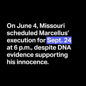 Mandy Patinkin Instagram - Repost from @innocenceproject
•
BREAKING: The Missouri Supreme Court has scheduled our client #MarcellusWilliams to be executed on Sept. 24, 2024 for a crime DNA proves he didn’t commit. We have three months to stop the execution of an innocent person. Help stop this injustice before it’s too late:
1. Add your name to our petition (link in bio)
2. Tag friends and family in Missouri in the comments below
3. Share this post to your stories.