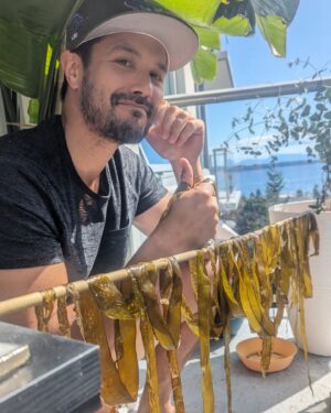 Marco Grazzini Instagram - Yeah, but can A.I. harvest & cook seaweed?  #foraging #ai