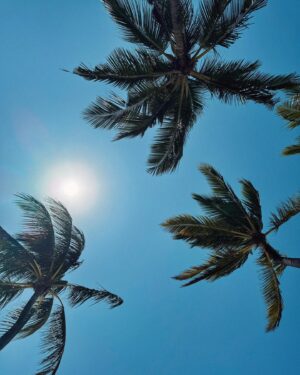 Maria Sten Instagram - spent a week in the bush working on my farmer’s tan so went to the beach to even things out… 

white sand, palm trees, rainbow fish, a few eels, lots and lots of sea urchins, reef snorkeling and lobster dinners.

Kenya beach vacation - 10/10 recommend. 🇰🇪