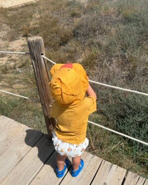 María Toledo Instagram - Necesitábamos parar, disfrutar de la familia, pisar la arena de la playa 🏖️ y coger fuerzas 💪 para todo lo que viene ahora.

Próximos conciertos:

🎹 9 de agosto. ALCALÁ DE LOS GAZULES (Cádiz)
🕙 22:00h
🎭 Patio del Antiguo Convento de Santa Clara. 

🎹 10 de agosto. EL ESPINAR (Segovia)
🕘 21:30h 
🎭 Auditorio Gonzalo Menéndez Pidal 

🎹 24 de agosto. LINARES (Jaén)
🕗 20:00h 
🎭Teatro Cervantes 

🎹 31 de agosto. PRADO DEL REY (Cádiz)
🕙 22:00h
🎭 Plaza de la Constitución 

🎹 10 de septiembre. SALAMANCA
🕘 21:00h 
🎭 Plaza Mayor de Salamanca

🎹 12 de septiembre. BOLLULLOS DE LA MITACIÓN (Sevilla)
🕚 23:00h
🎭 Casa de la Cultura 
 
🎹7 de octubre. TARRAGONA
🕗 20:00h
🎭 Teatre Tarragona

🎹 30 de noviembre. VALLADOLID
(Más Info próximamente) 

🎹 22 de diciembre. SEVILLA
🕕 18:00h
🎭 Salón real del Hotel Alfonso XIII

#MaríaToledo #conciertos #Vicente #gira2024